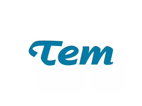 Logo TEM