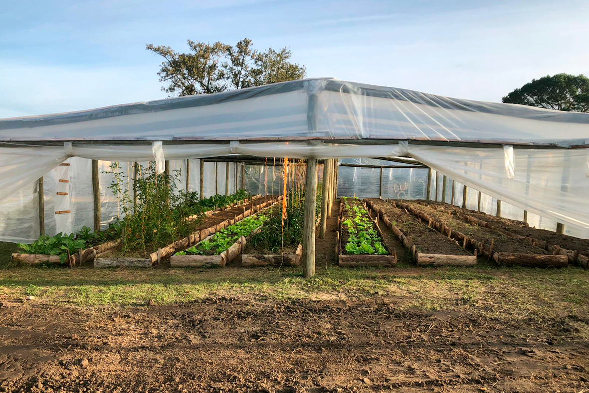 Foto "Presidente de INAU visita CultiVamos"