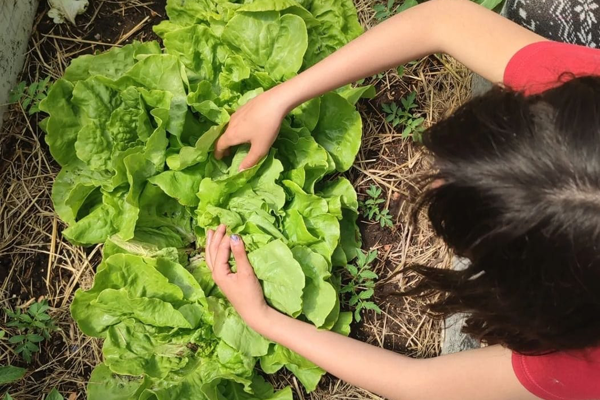 Foto Huerta y correcaminata