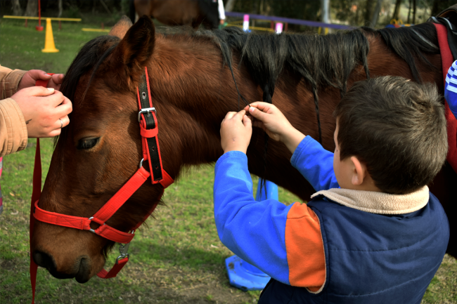 Foto_Al paso, al trote, al galope